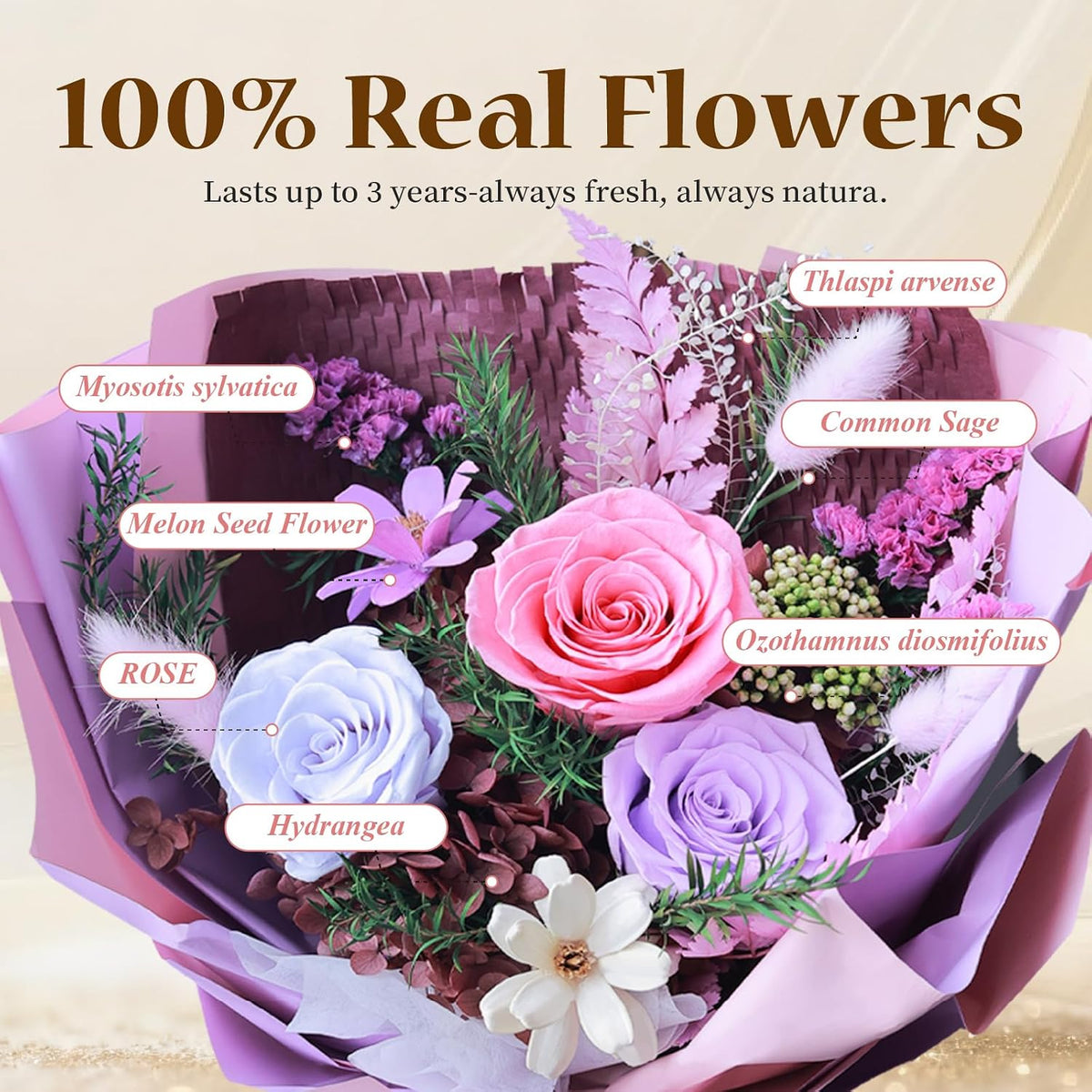 Preserved Roses Eternal Flowers Real Purple Roses that Last 3 Years Home Decor Birthday Gifts for Women Mothers Day Flowers for Wife