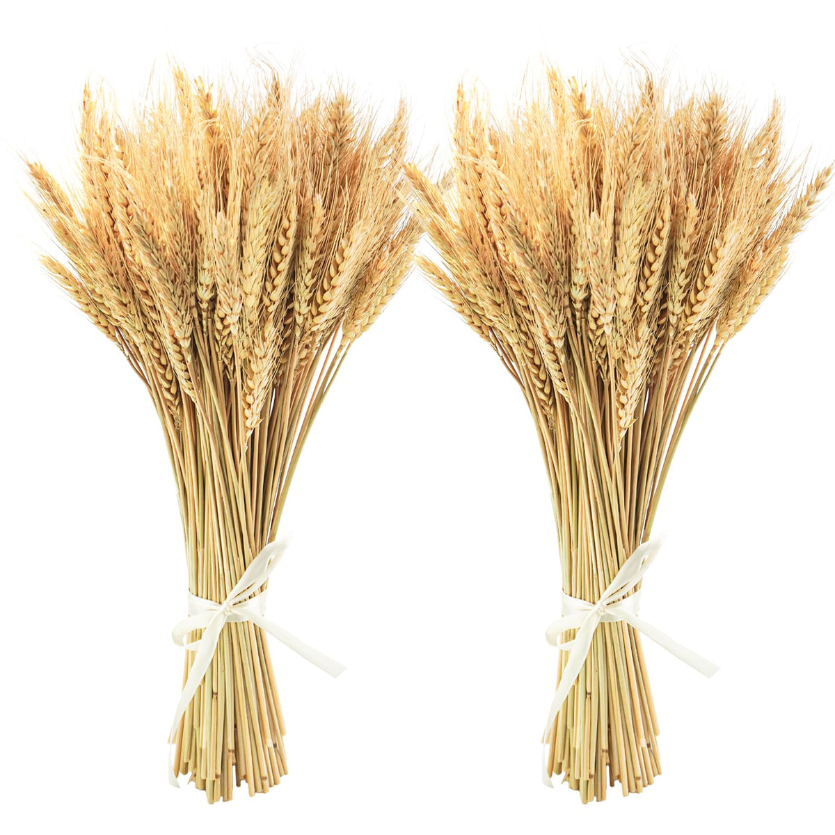 Uieke 17.7 Inches Dried Wheat Stalks, 100 Stems Dried Flowers 100% Natural Wheat for Home Kitchen Wedding Party Table Centerpiece Harvest Wreath Boho Farmhouse DIY Decoration