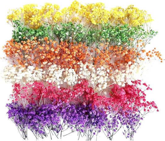 120 Pcs Mini Dried Baby Breath Flowers Gypsophila Ivory Mixed Color Flowers Dried Flowers for Vase Wedding Home Office Party Garden Card Making Decor Wreath Floral Craft DIY Art (Mixed Colors)