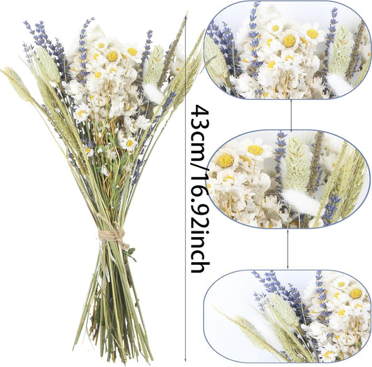 Dried Flowers Bouquet Dried Daisy Flowers Natural Lavender Dried Flowers Bunny Tails Gerber Daisies Flowers Wheat Stalks Floral Arrangements for Wedding Table Centerpiece Decor Farmhouse DIY