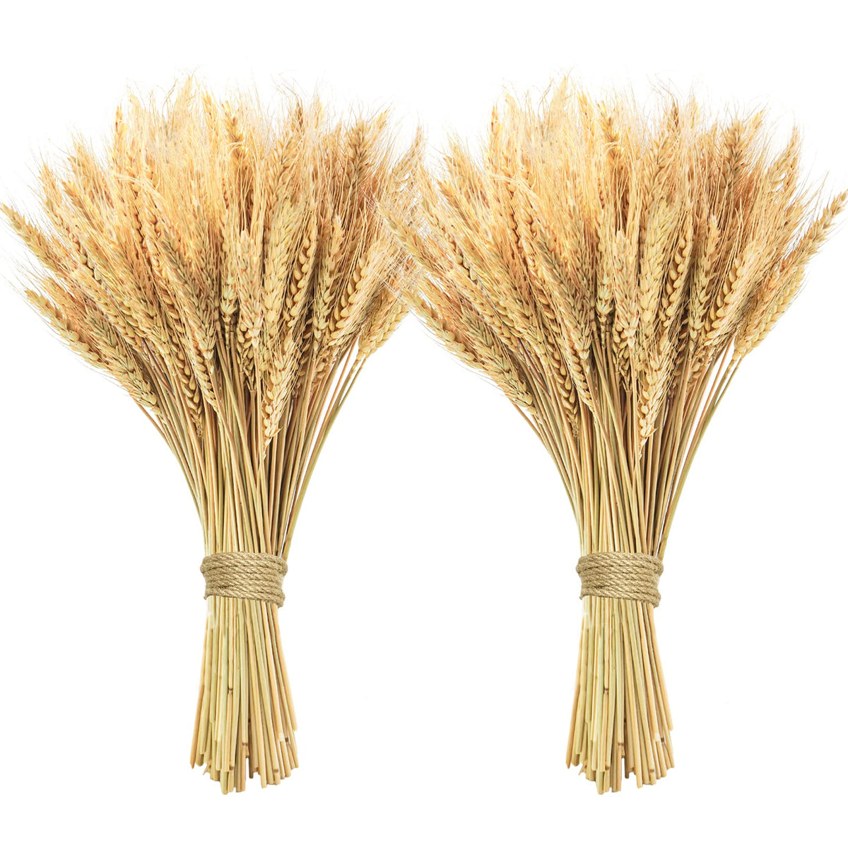 17.7 inches Dried Wheat Stalks, 100 Stems Dried Flowers 100% Natural Wheat for Home Kitchen Office Flowers Arrangement Wedding Table Farmhouse Boho Party Fall Décor