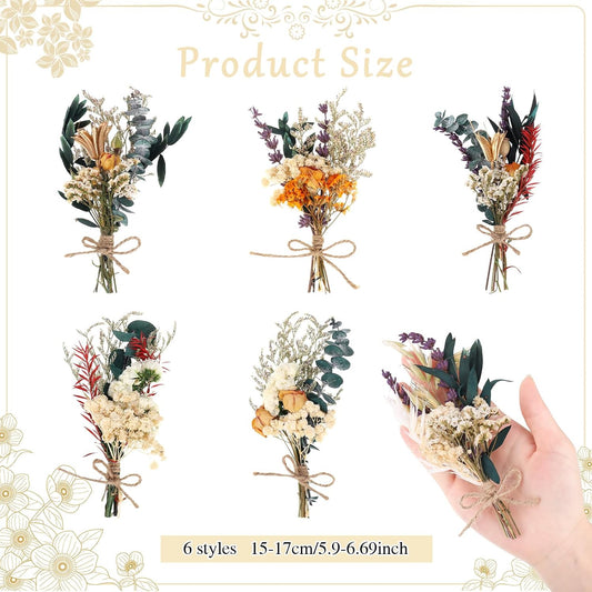 Fuyamp Mini Boho Dried Flower Bouquet Set of 6 Natural Dried Flowers