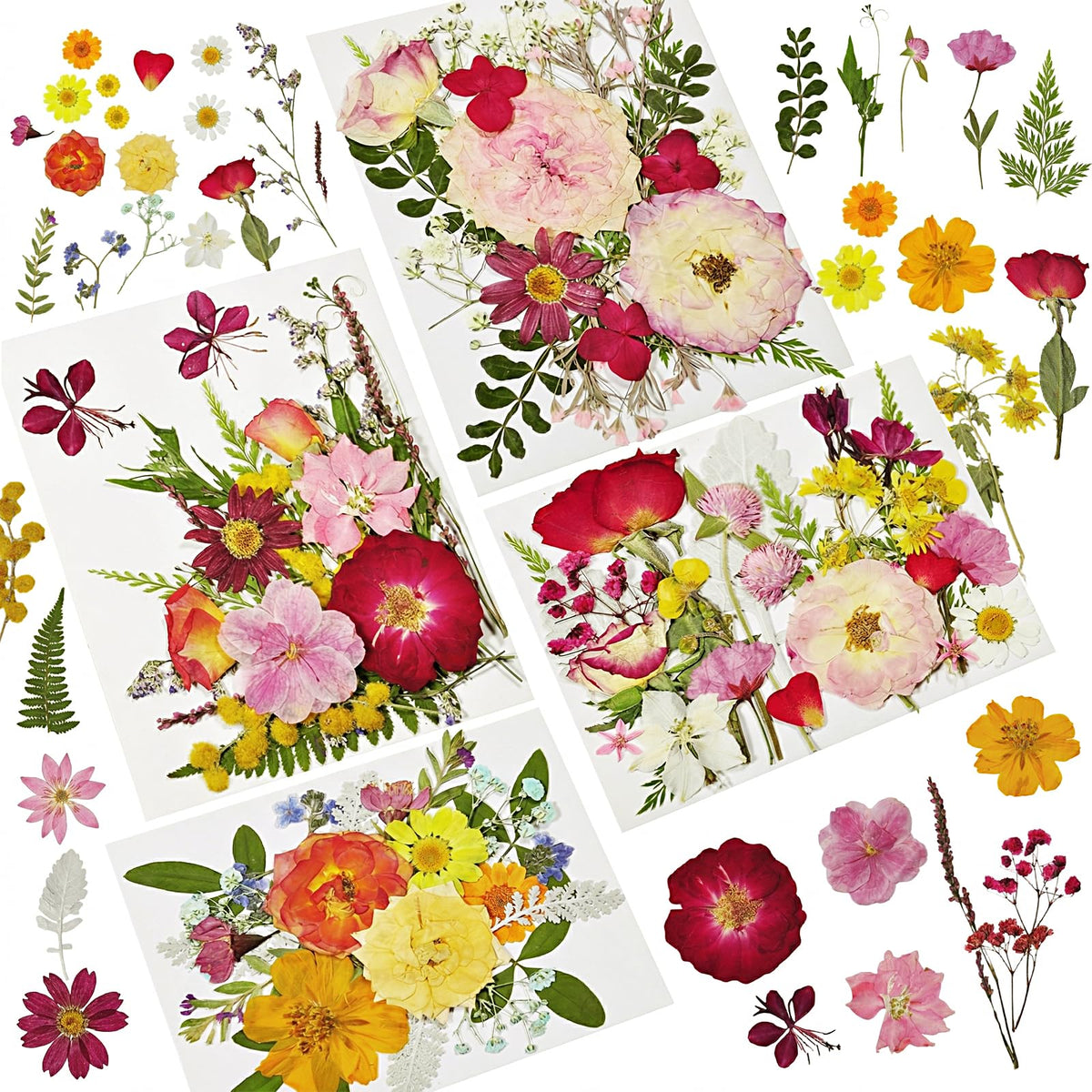 Dried Flowers for Resin, 106pcs Natural Flowers and Leaves Compressed