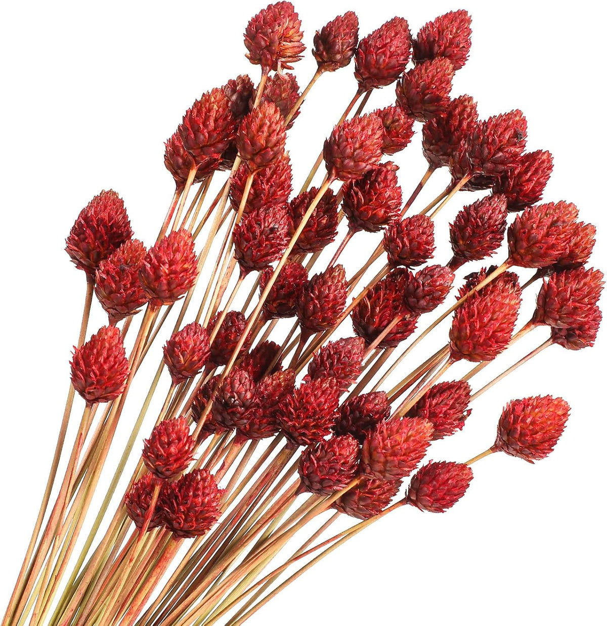 Rtteri 60 Pcs Red Dried Fall Flowers with Stems for Vase Bouquet Bulk