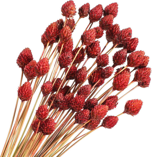 Rtteri 60 Pcs Red Dried Fall Flowers with Stems for Vase Bouquet Bulk