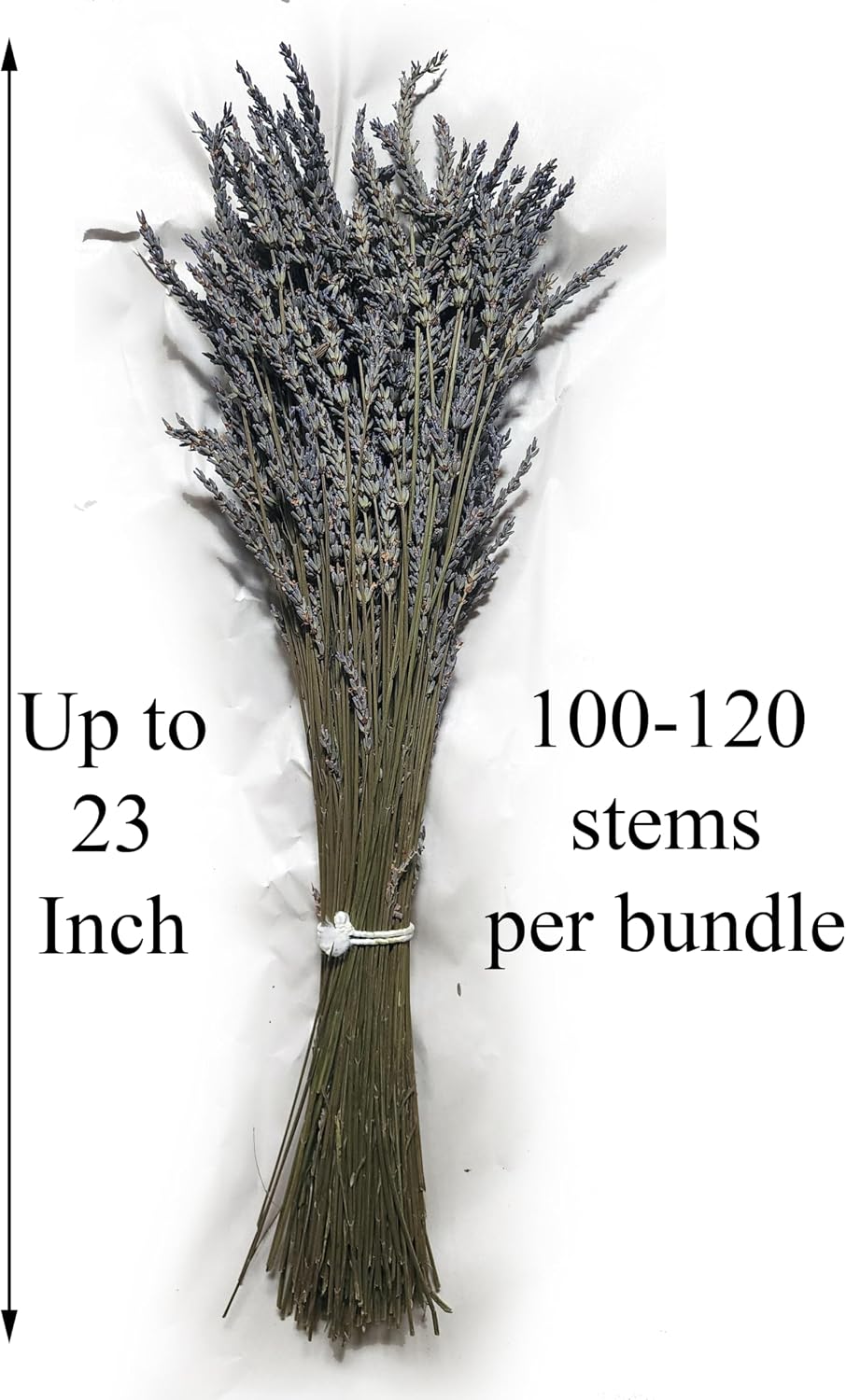 Kaze Home Natural Dried Lavender Flower Bundle Grosso Bulk Bunches | 3000 Stems, 23 inch Extra Long, 8 lb | Home Decoration, Fragrance, Bouquet Weddin