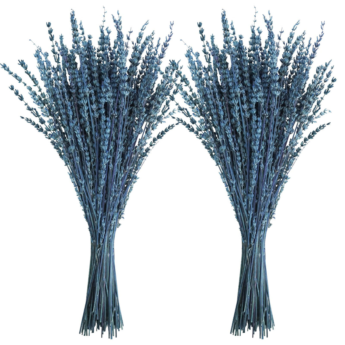 Uieke Dried Lavender Flowers Bundle, 16" Dried Lavender Bouquet Blue Flowers for Shower Weeding Home Fragrance Vase Crafts Decor, 50g(1.76oz)