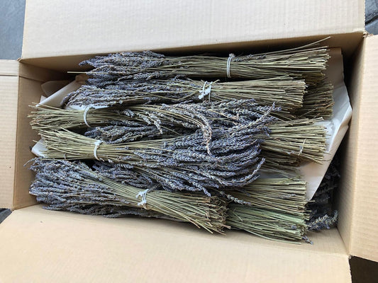 Kaze Home Natural Dried Lavender Flower Bundle Grosso Bulk Bunches | 3000 Stems, 23 inch Extra Long, 8 lb | Home Decoration, Fragrance, Bouquet Weddin