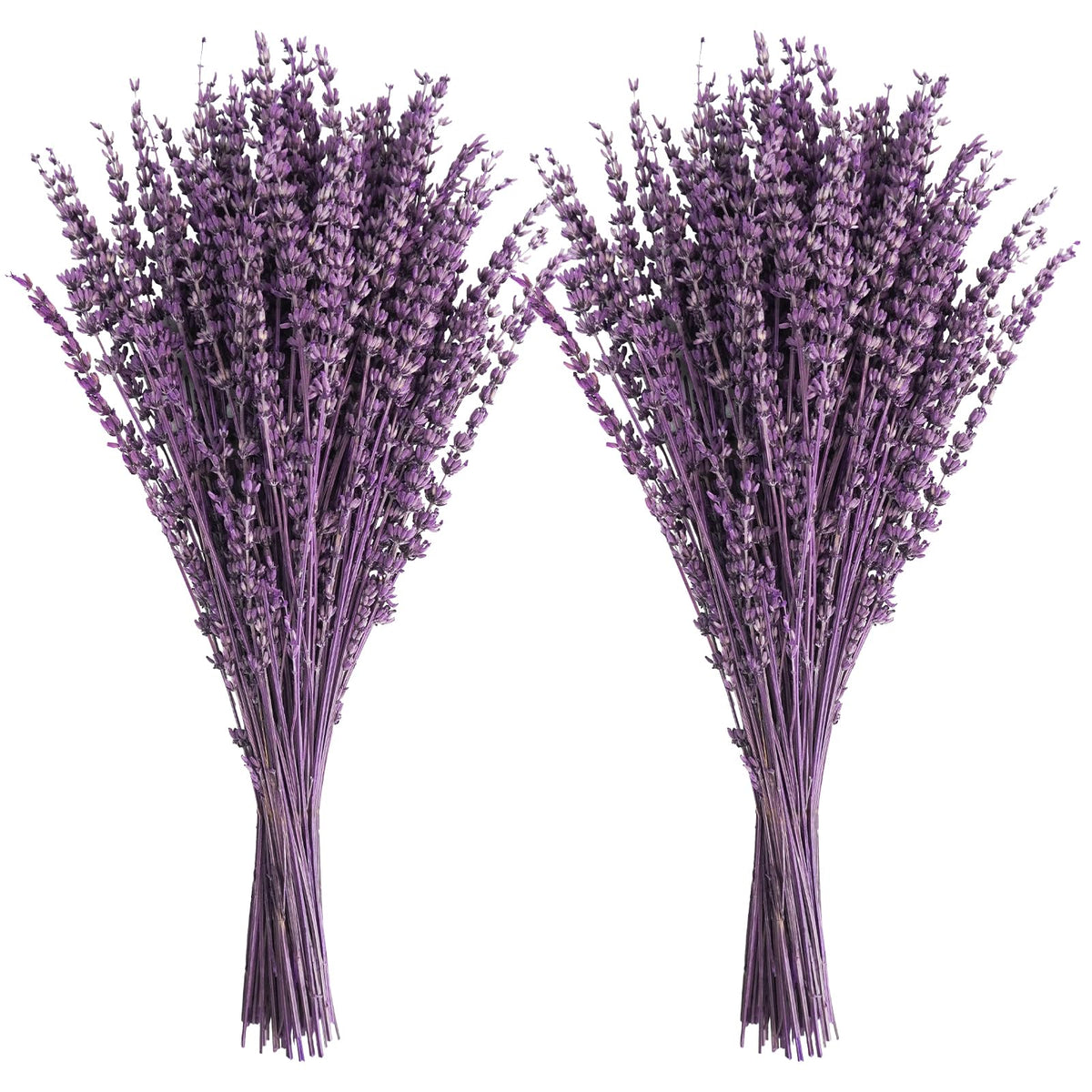 Uieke Dried Lavender Flowers Bundle, 16" Dried Lavender Bouquet Blue Flowers for Shower Weeding Home Fragrance Vase Crafts Decor, 50g(1.76oz)