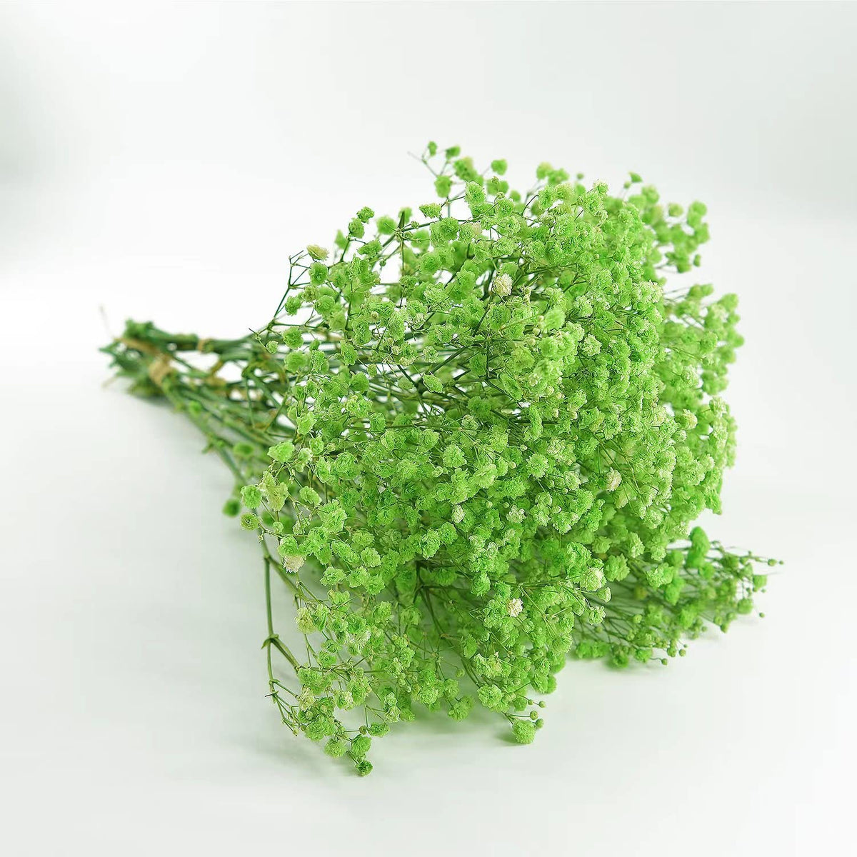 Preserved Baby's Breath 3 Bunches, 100% Natrual Fresh Gypsophila Long Lasting Flowers for Vase Arrangements Home Decoration Photo Props Parties and Weddings, DIY Décor-White
