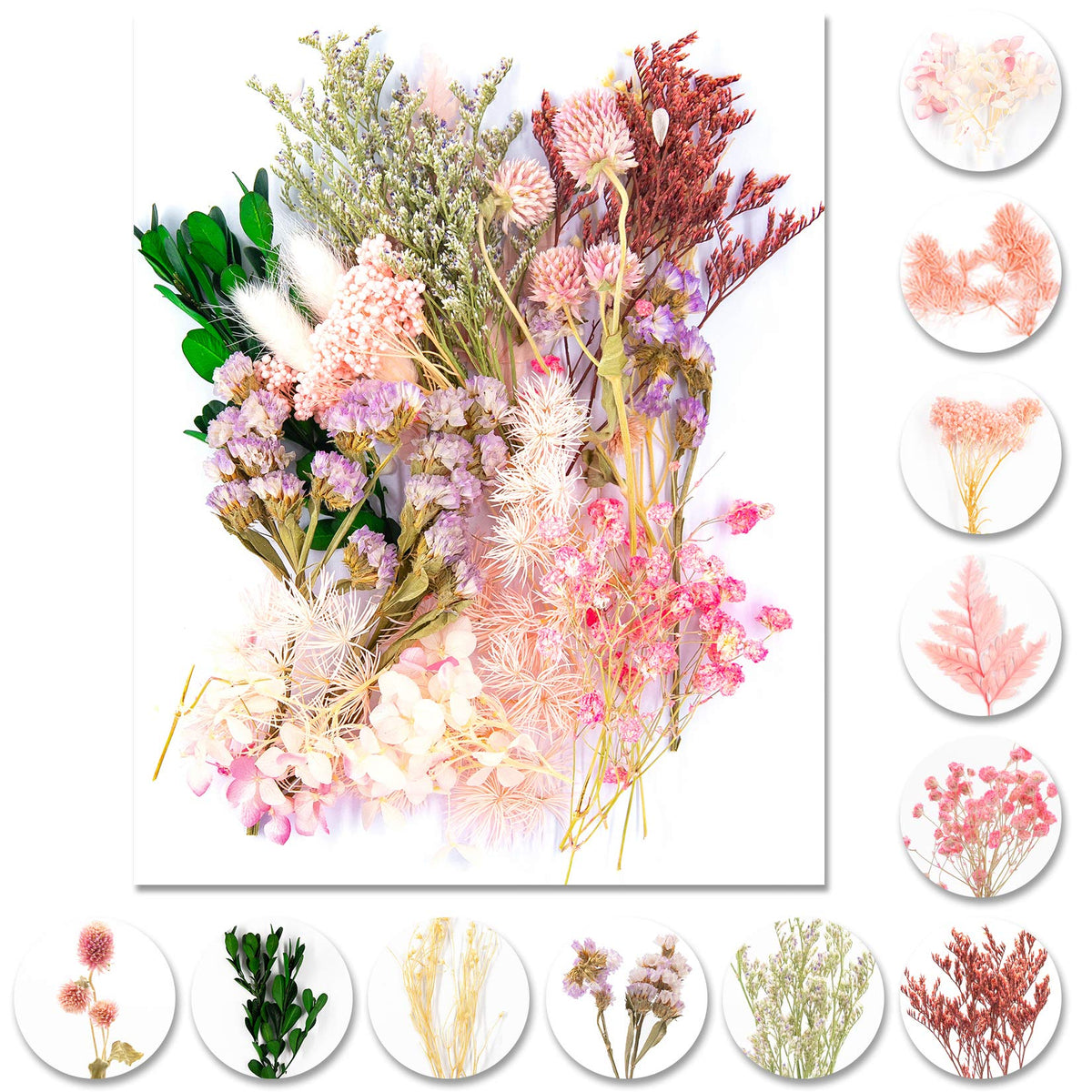 Vignee Real Dried Pressed Leaf Flowers-Multiple Colorful Pressed Flowers Daisies for Craft Resin Jewelry Making Art Craft DIY（Violet）