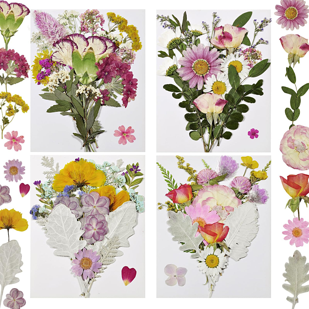 Dried Flowers for Resin, 106pcs Natural Flowers and Leaves Compressed