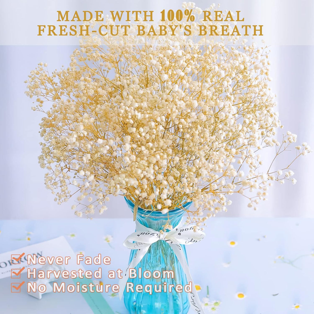 Dried Baby's Breath Flowers, 3 oz, 17.2 in, Ivory White Gypsophila Bouquet