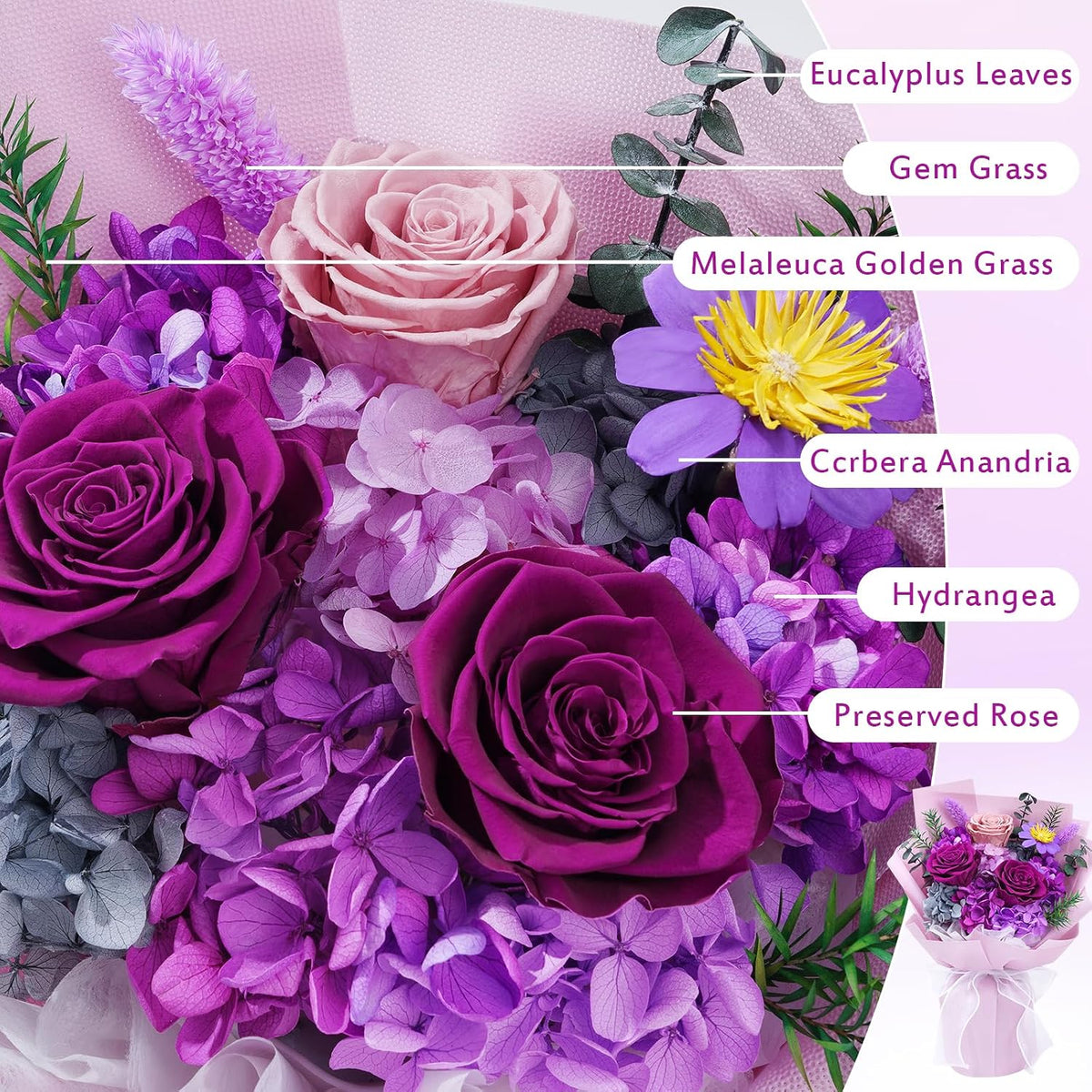 Waipfaru Preserved Flowers, Purple Fresh Bouquet with Gift Box, Flowers for Delivery Prime, Forever Flowers for Women Birthday Gift, Anniversary, Teacher, Mother Day, Valentines Day Gifts for Her