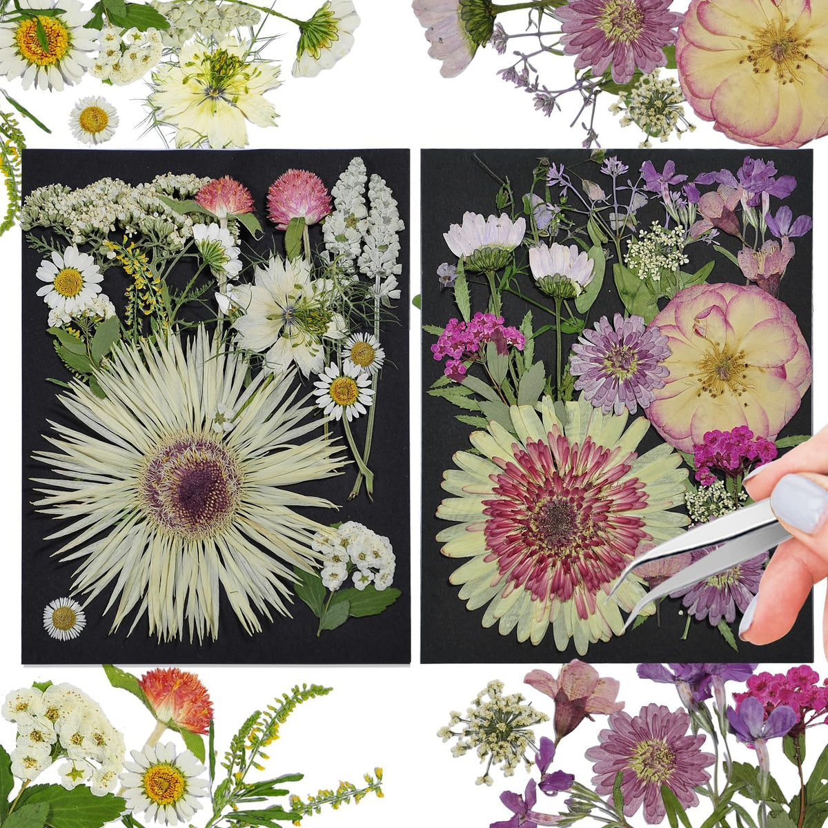 Dried Flowers for Resin, 106pcs Natural Flowers and Leaves Compressed