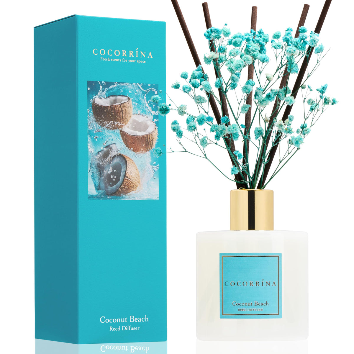 Cocorrína Premium Reed Diffuser Set with Preserved Baby's Breath & Cotton Stick Sandalwood Rose | 6.7oz Scent Fragrance Oil Diffuser for Bedroom Bathroom Home Décor