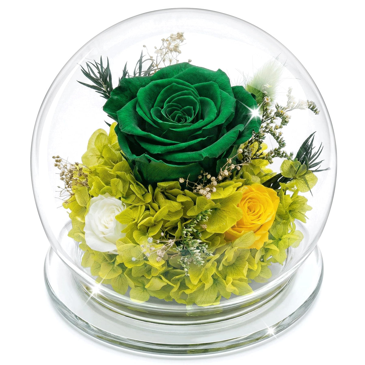 Forever Flowers Preserved Roses Prime Delivery, with Light in Glass Dome for Mom Grandma Wife Girlfriend, Purple Flower for Mother's Day, Valentine's Day, Anniversary, Birthday