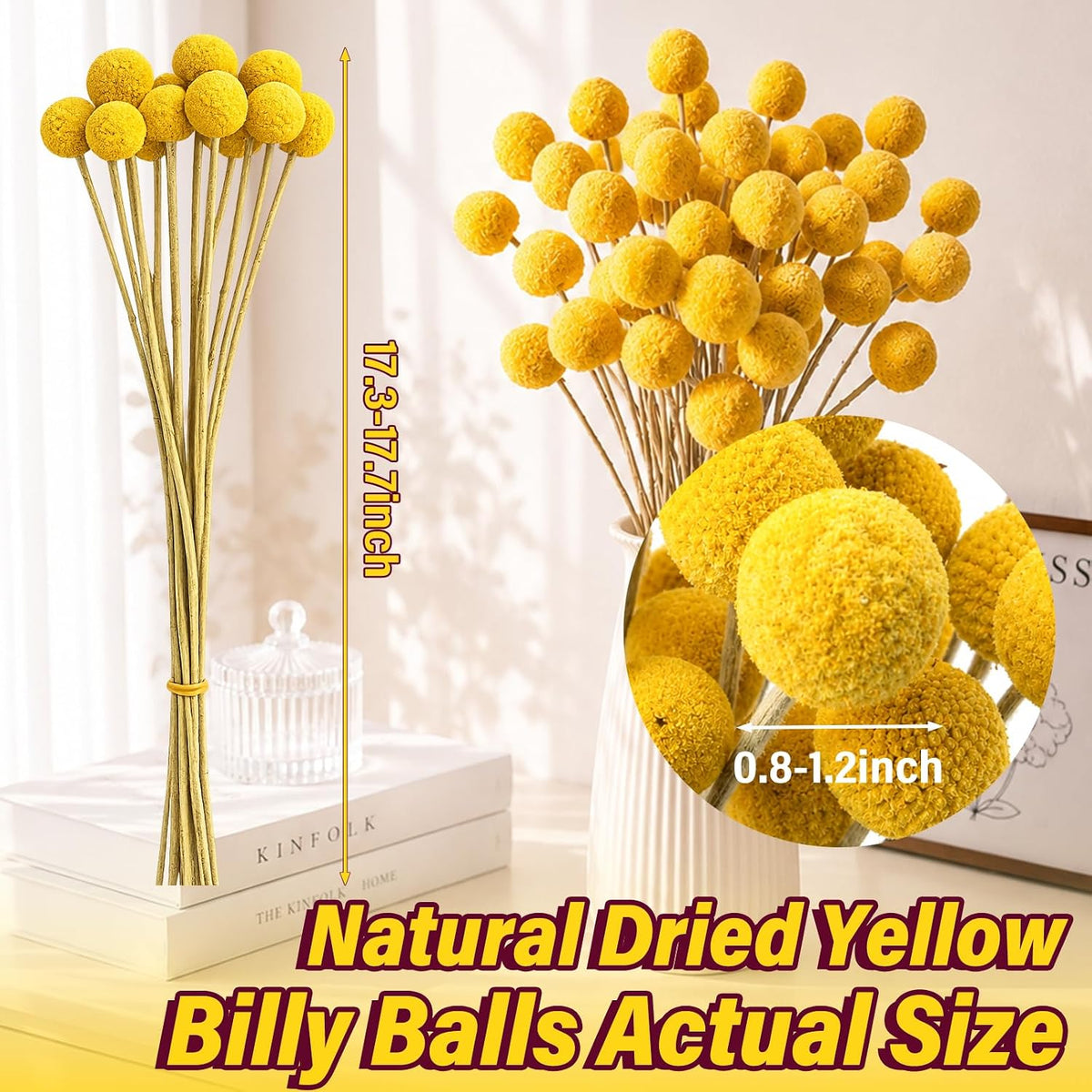 40pcs Dried Billy Balls Flowers for Wedding Decor & Floral Displays