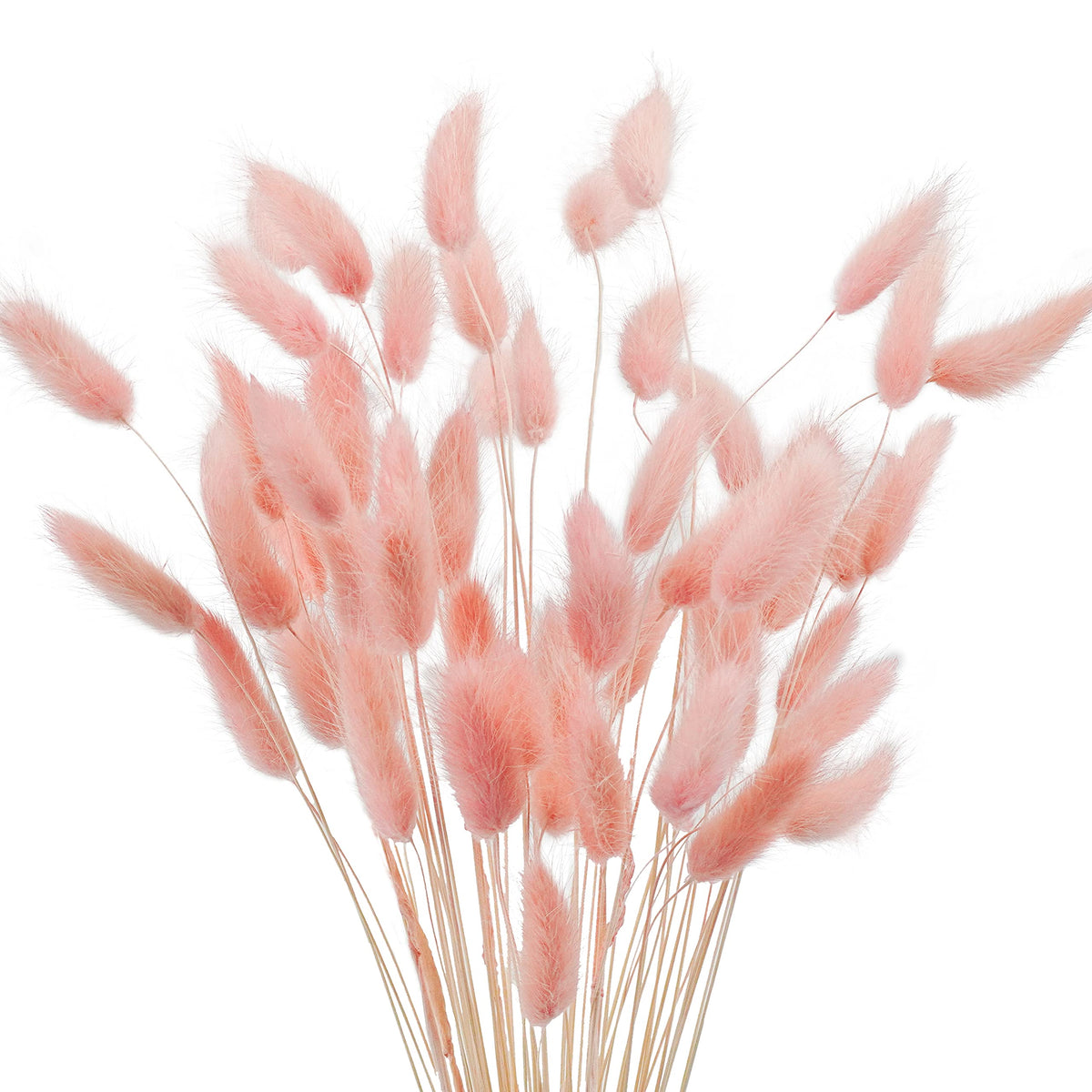 Uieke 120 Pcs Natural Bunny Tails Dried Flowers, 17’’ Dried Lagurus Ovatus, Orange Fall Dried Flowers for Fall Floral Arrangements Wedding Centerpieces Home Baby Shower Party Decorations