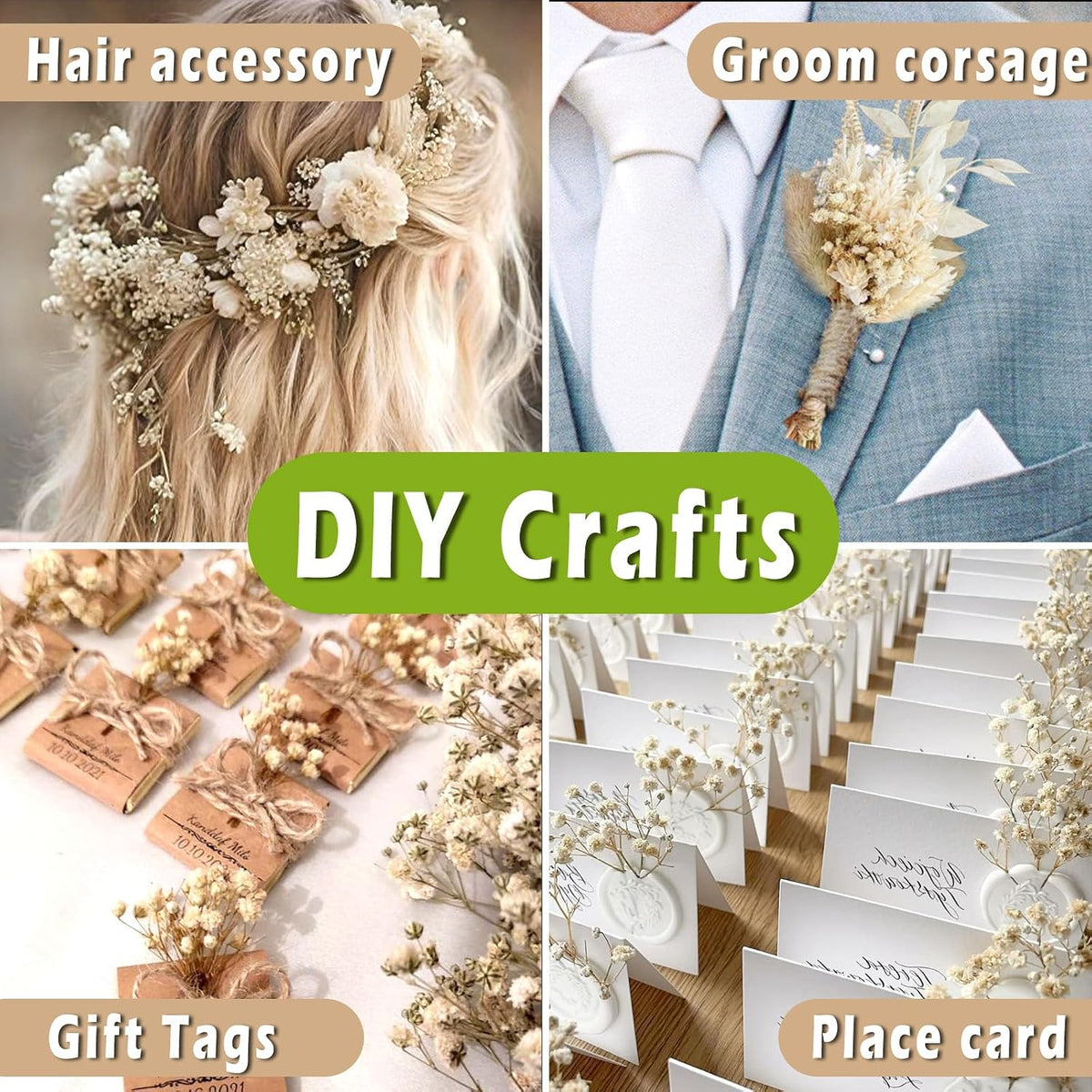 2500+ Mini Dried Baby's Breath Flowers Ivory White for Wedding Decor