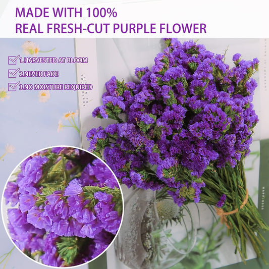 Dried Flowers Sea Lavender Bouquet - 12 inch Real Natural 1600+ Purple Statice Flowers, Dried Lavender Bundle for Arrangements, Home Decor, Wedding, DIY Party (Purple)