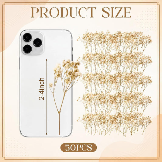 Fumete Mini Dried Baby Breath Flowers Dried Flowers, Natural White, 50 Pcs