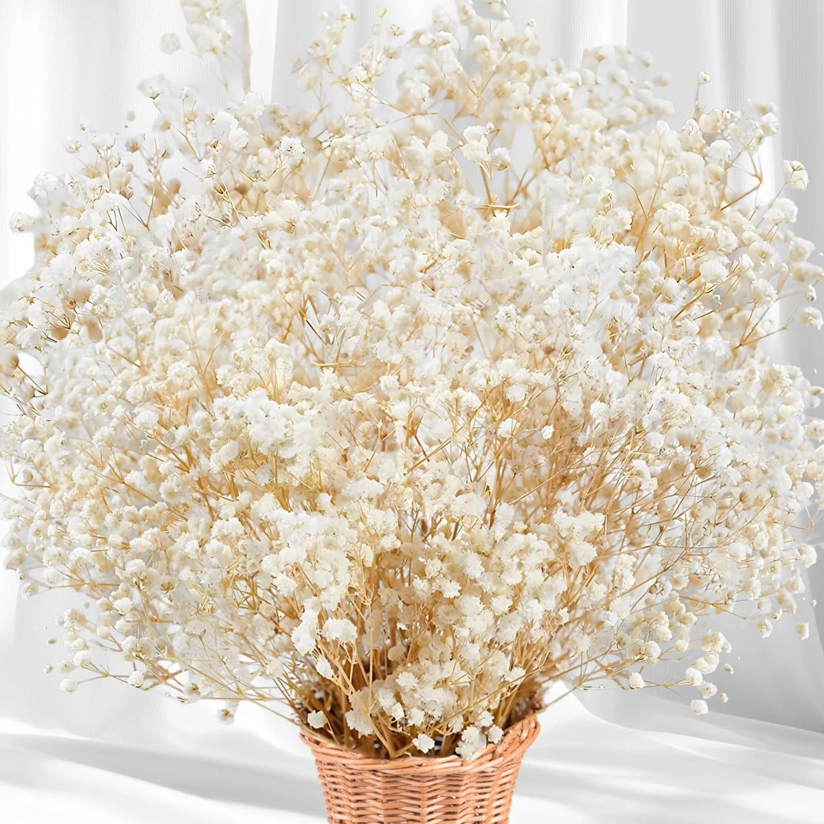 Dried Baby's Breath Flowers, 3 oz, 17.2 in, Ivory White Gypsophila Bouquet