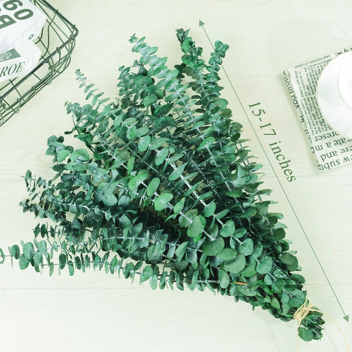 20 Pcs Preserved Dried Eucalyptus Stems, Eucalyptus Branches for Shower