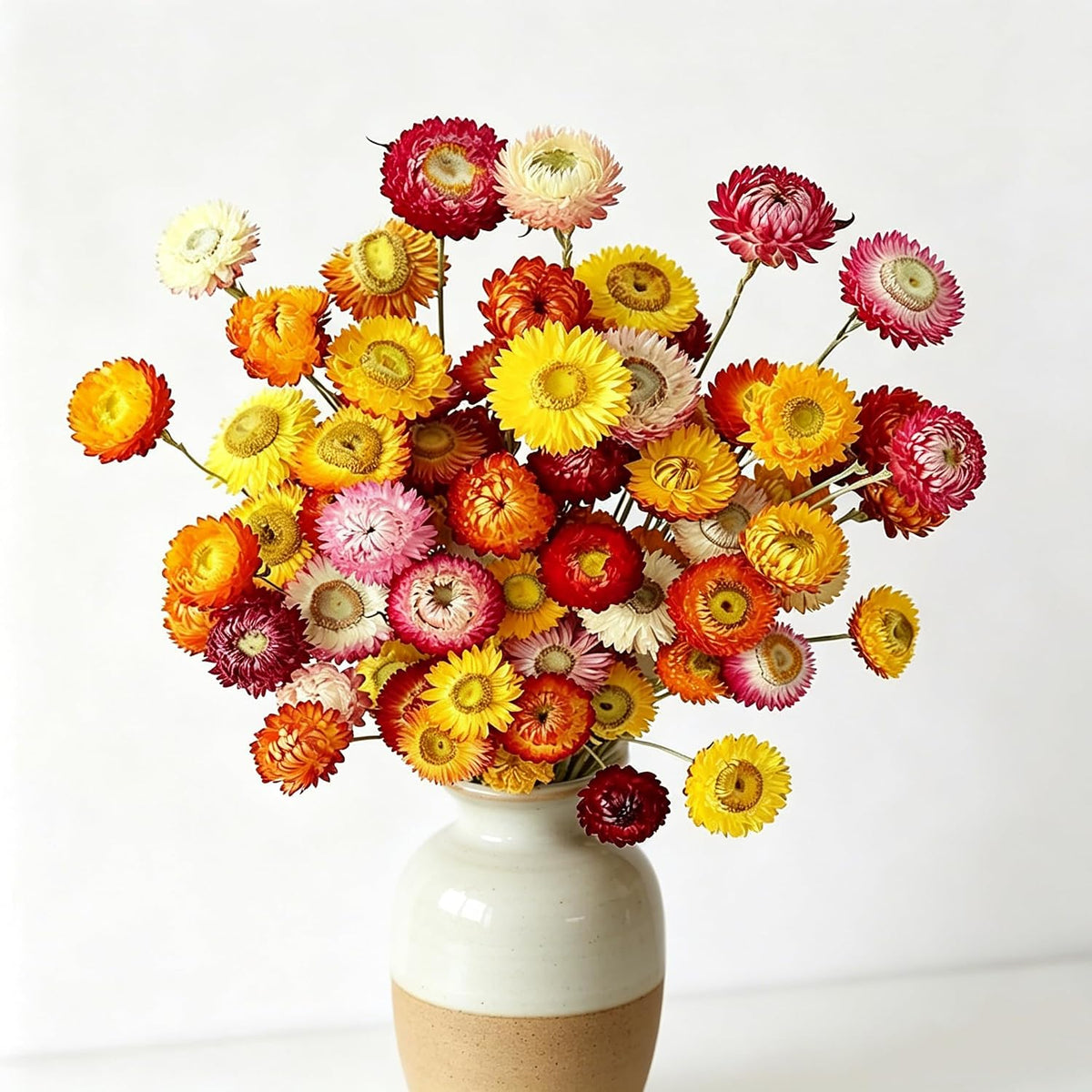 30Pcs Natural Multicolor Dried Daisy Flowers Stems-Dried Flowers Bouquet