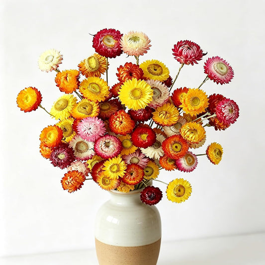 30Pcs Natural Multicolor Dried Daisy Flowers Stems-Dried Flowers Bouquet