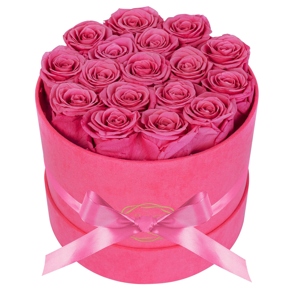 17 Flowers in Luxury Suede Box, Birthday Gifts for Women, Preserved Flowers