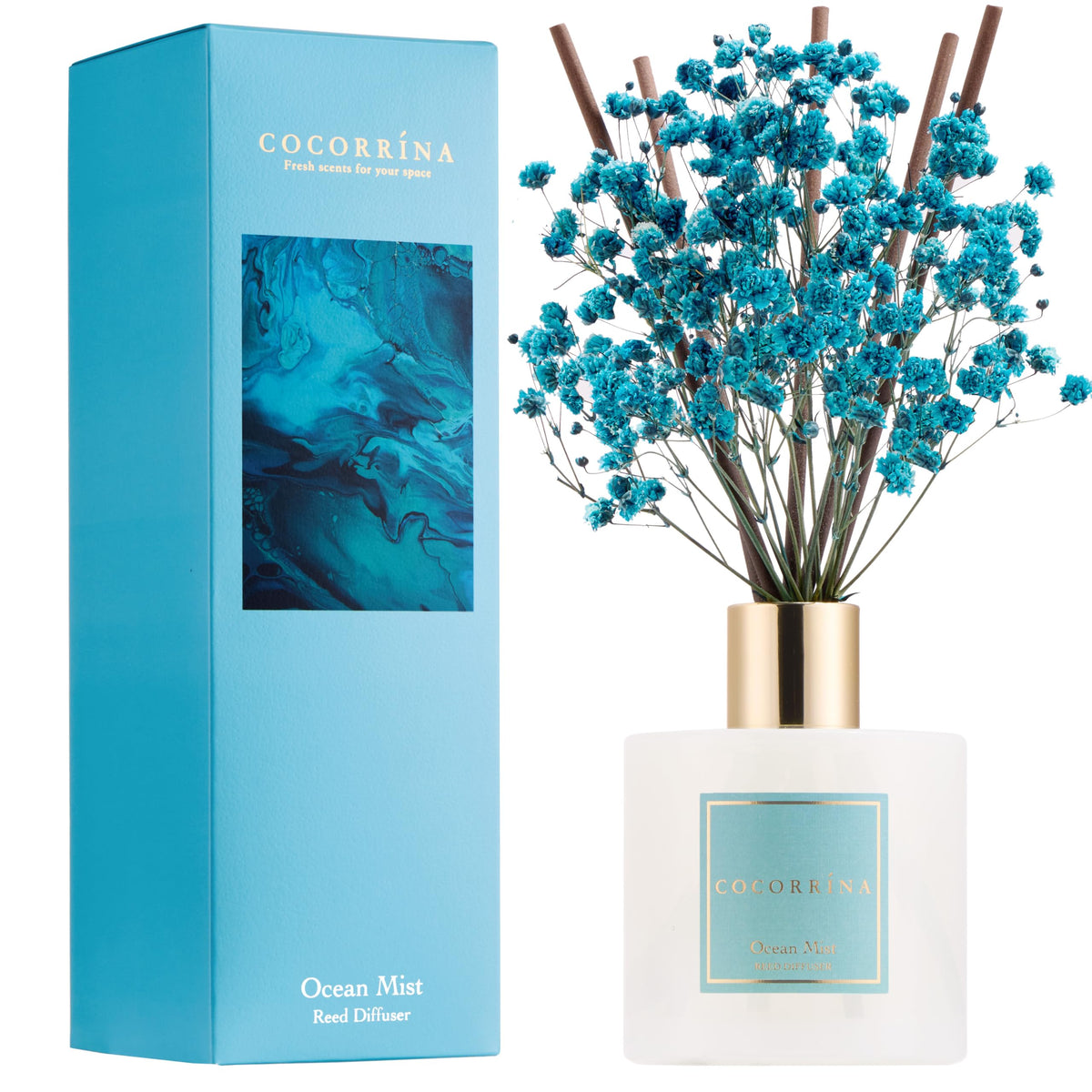 Cocorrína Premium Reed Diffuser Set with Preserved Baby's Breath & Cotton Stick Sandalwood Rose | 6.7oz Scent Fragrance Oil Diffuser for Bedroom Bathroom Home Décor