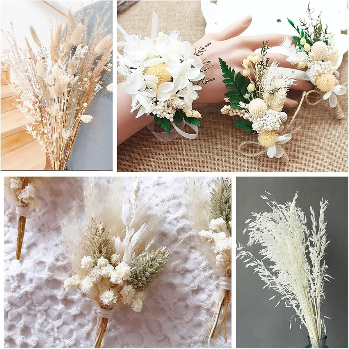 40 PCS Stems Dried White Oat Flowers, 17" Natural Bleached Avena Stems
