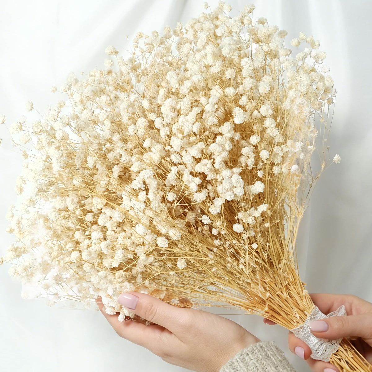 2500+ Mini Dried Baby's Breath Flowers Ivory White for Wedding Decor