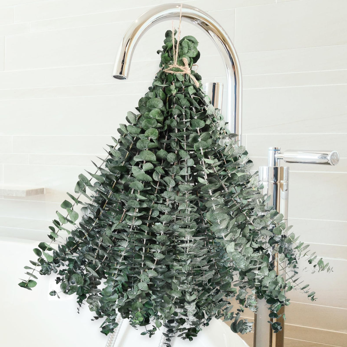 12PCS Dried Eucalyptus for Shower Hanging Real Preserved Eucalyptus Stems