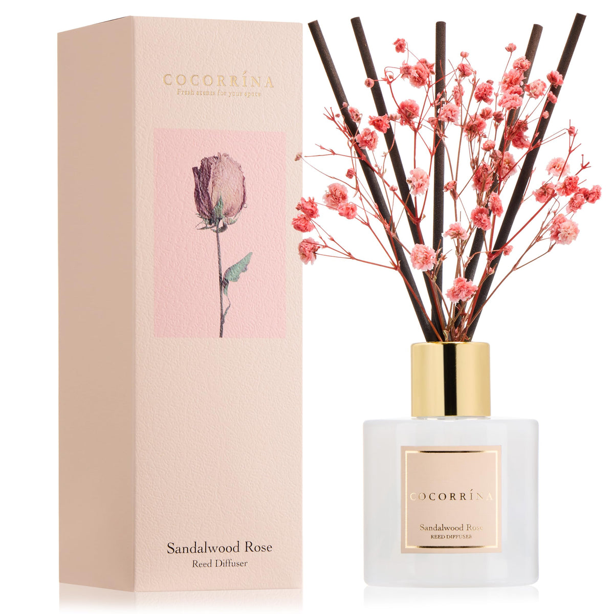 Cocorrína Premium Reed Diffuser Set with Preserved Baby's Breath & Cotton Stick Sandalwood Rose | 6.7oz Scent Fragrance Oil Diffuser for Bedroom Bathroom Home Décor
