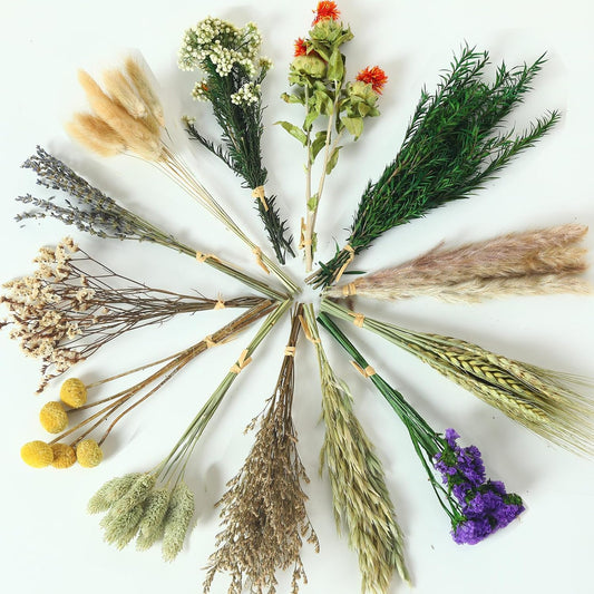 13 Kinds Mini Dried Flower Bouquet, 5-8" Boho Brown for Crafts, Vase Filler