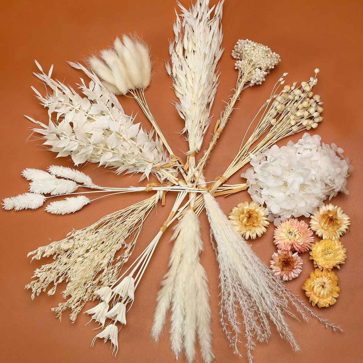 13 Kinds Mini Dried Flower Bouquet, 5-8" Boho Brown for Crafts, Vase Filler