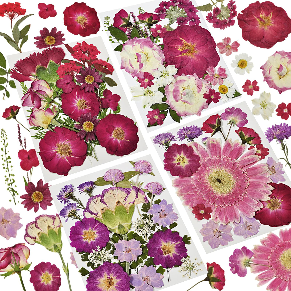 Dried Flowers for Resin, 106pcs Natural Flowers and Leaves Compressed