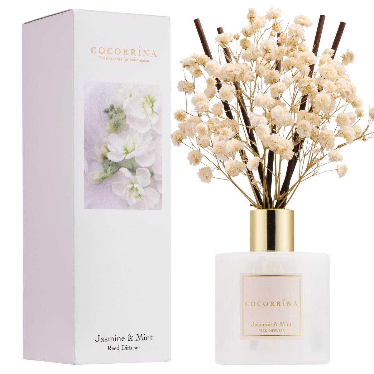 Cocorrína Premium Reed Diffuser Set with Preserved Baby's Breath & Cotton Stick Sandalwood Rose | 6.7oz Scent Fragrance Oil Diffuser for Bedroom Bathroom Home Décor