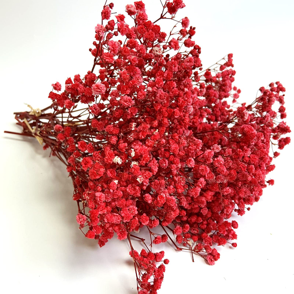 Preserved Baby's Breath 3 Bunches, 100% Natrual Fresh Gypsophila Long Lasting Flowers for Vase Arrangements Home Decoration Photo Props Parties and Weddings, DIY Décor-White
