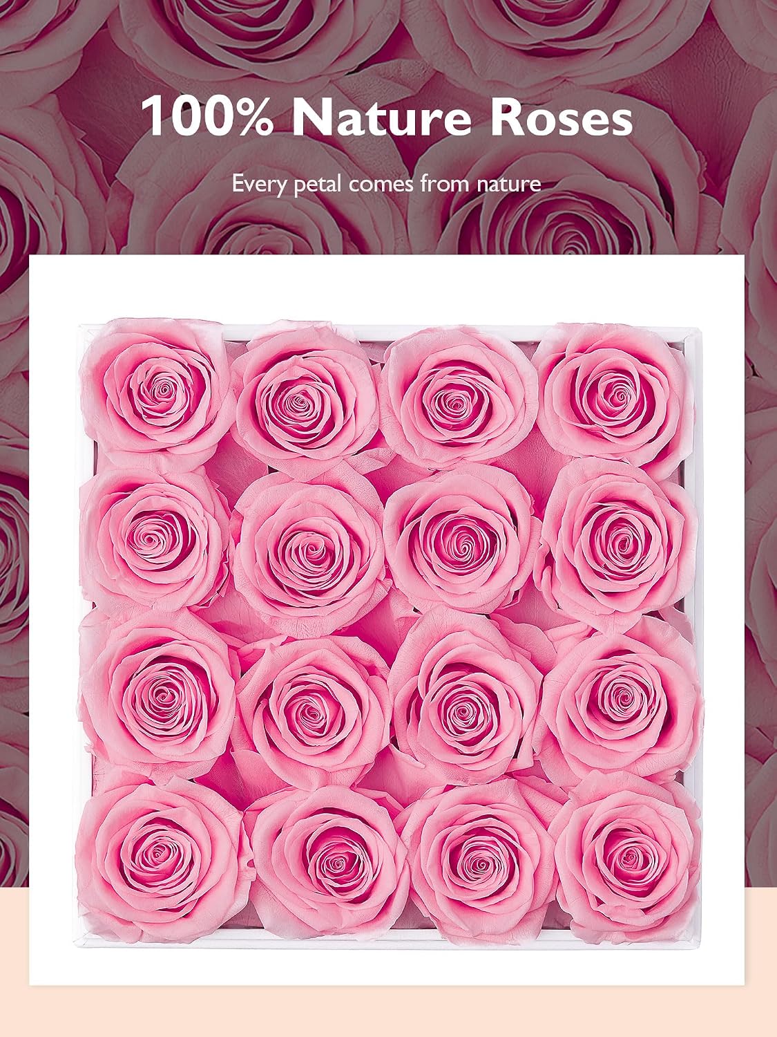 Forever Flower Preserved Rose that Last Over a Year Rose Box Pink