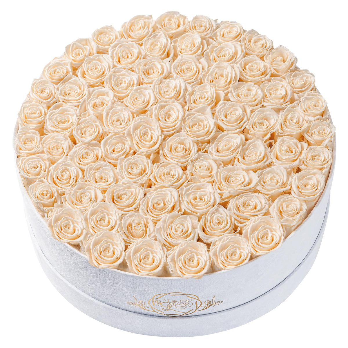 17 Flowers in Luxury Suede Box, Birthday Gifts for Women, Preserved Flowers