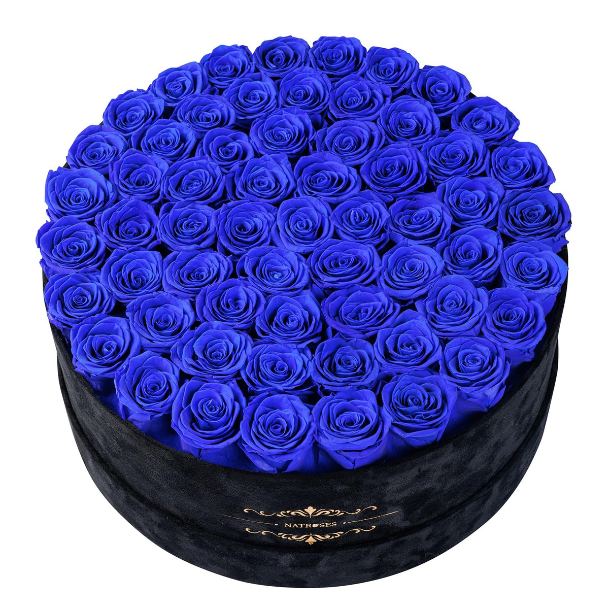 NATROSES Gifts for Her 27 Piece Forever Preserved Roses in a Box, Preserved Flowers for Delivery Birthday, Flowers Gifts for Mothers Day, Forest Green
