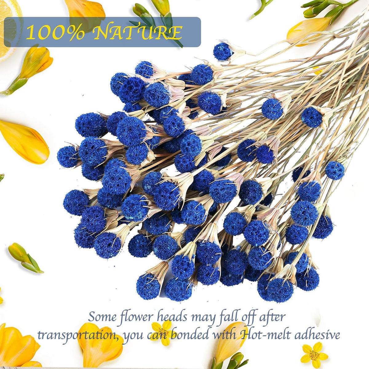 40 Pcs Blue Dried Thistle Flowers, Natural 17" Floral Bouquet