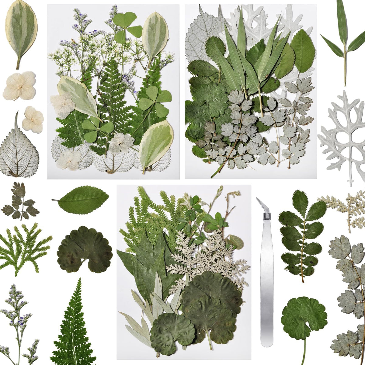 Dried Flowers for Resin, 106pcs Natural Flowers and Leaves Compressed