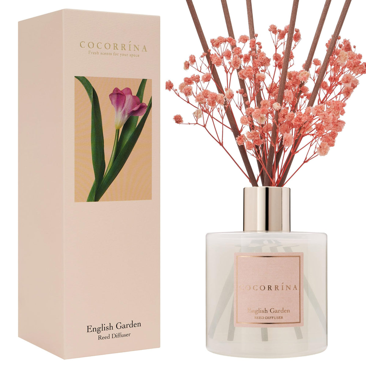 Cocorrína Premium Reed Diffuser Set with Preserved Baby's Breath & Cotton Stick Sandalwood Rose | 6.7oz Scent Fragrance Oil Diffuser for Bedroom Bathroom Home Décor