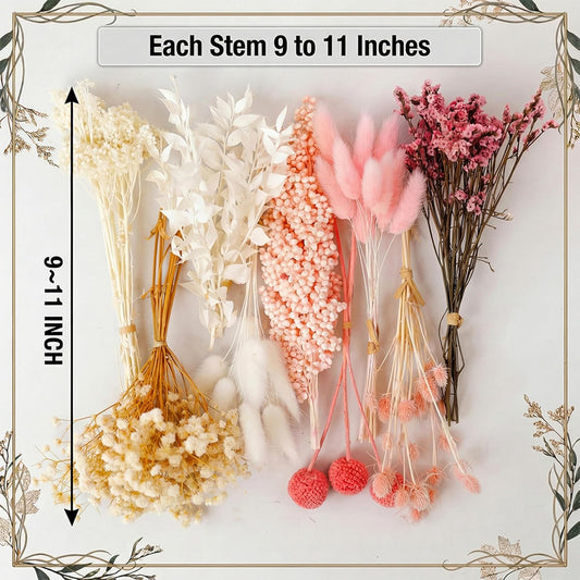LUXEEASE 9 Kinds Pink White Dried Flowers Bouquet, 141 Pcs