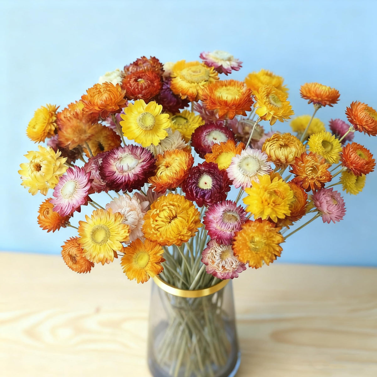 30Pcs Natural Multicolor Dried Daisy Flowers Stems-Dried Flowers Bouquet