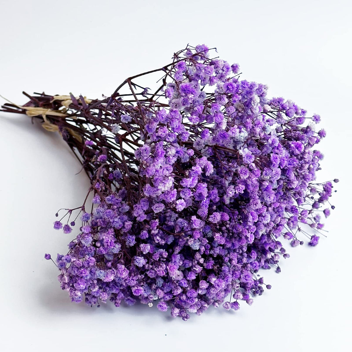 Preserved Baby's Breath 3 Bunches, 100% Natrual Fresh Gypsophila Long Lasting Flowers for Vase Arrangements Home Decoration Photo Props Parties and Weddings, DIY Décor-White